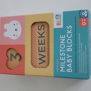 Milestone Baby Blocks